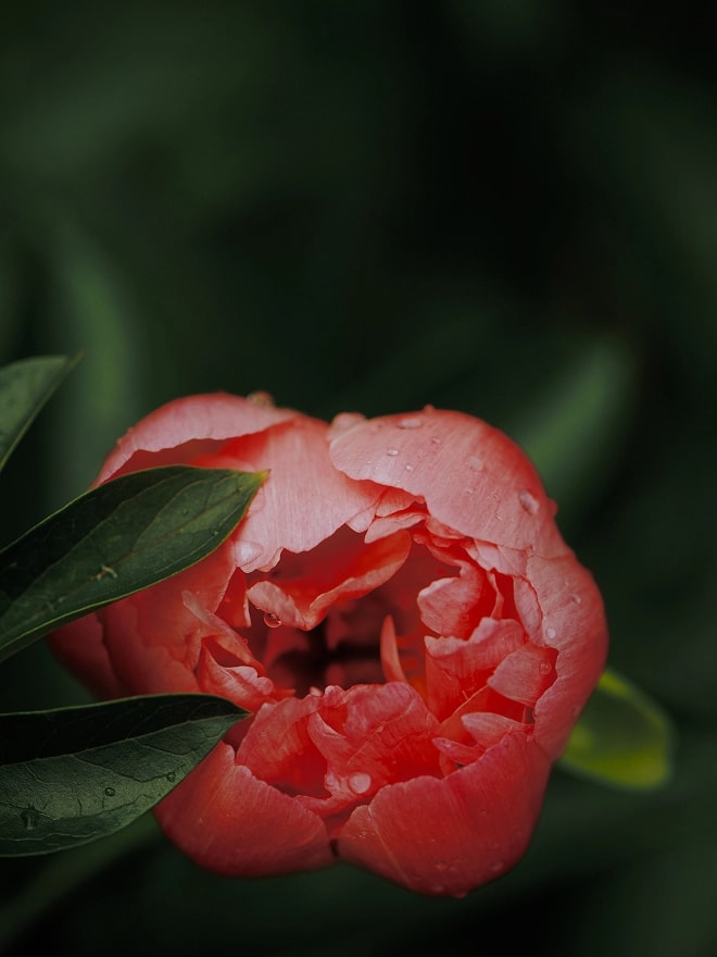 Developed in iskra studio