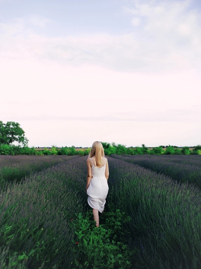 Developed in iskra studio